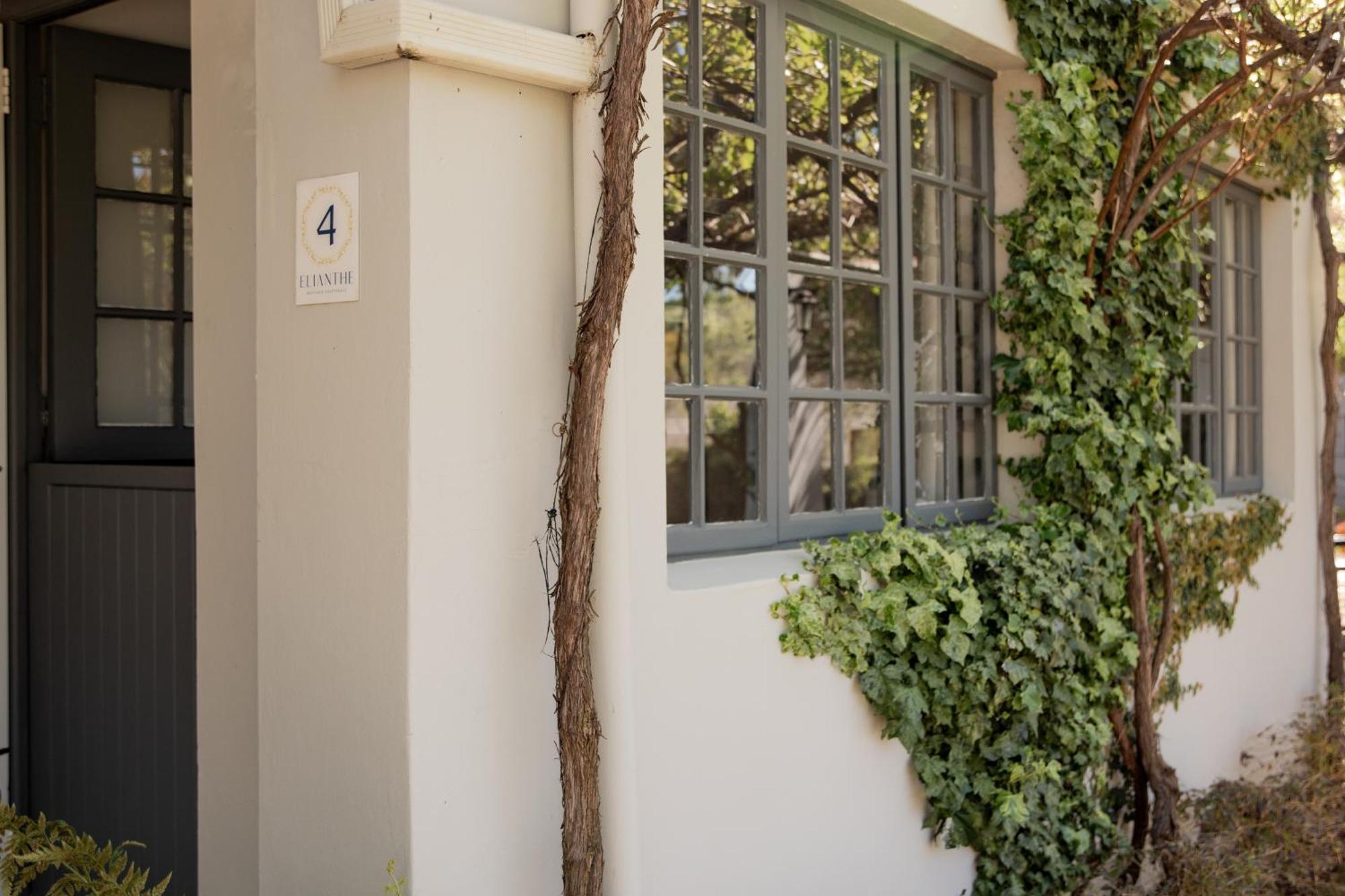 Elianthe Guesthouse Swellendam Buitenkant foto
